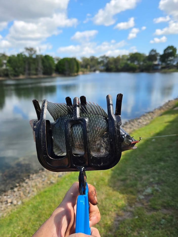 Hook-Eze Iron Fishing Claw Clamp