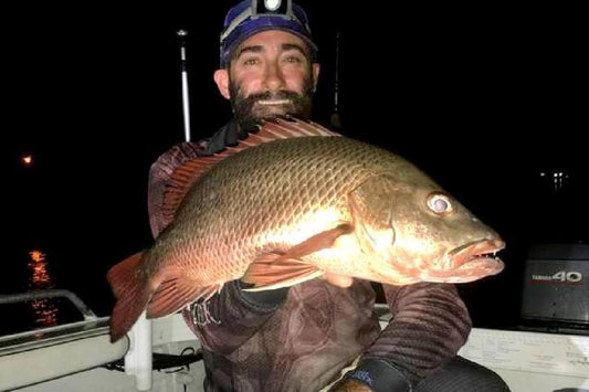 Catching Mangrove Jack – Lutjanus argentimaculatus