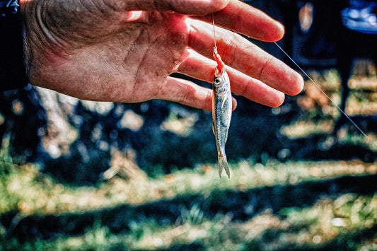 man fishing