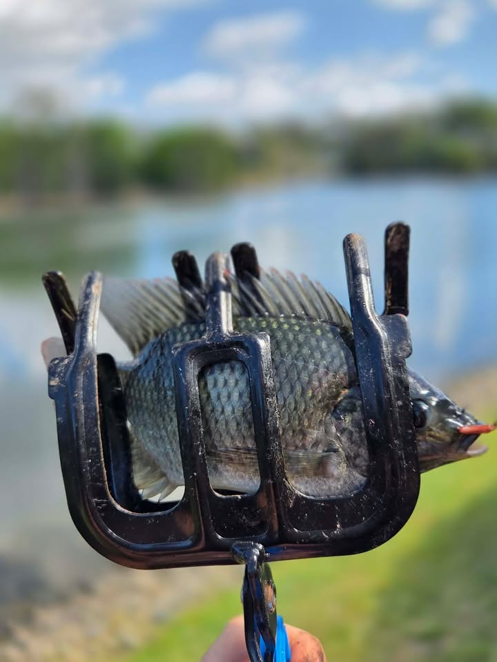 Hook-Eze Iron Fishing Claw Clamp